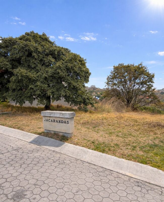 venta terreno Rancho San Juan 6