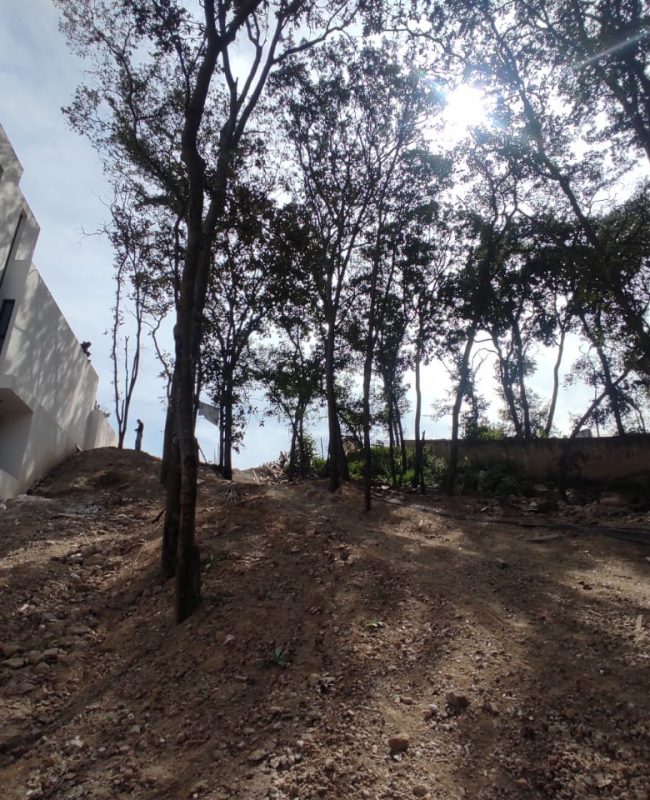 venta terreno  Sayavedra 1