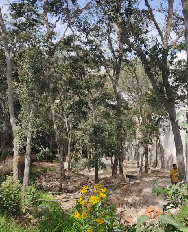 venta terreno  Sayavedra 6