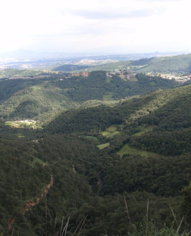 venta terreno en Santa Maria Mazatla 1