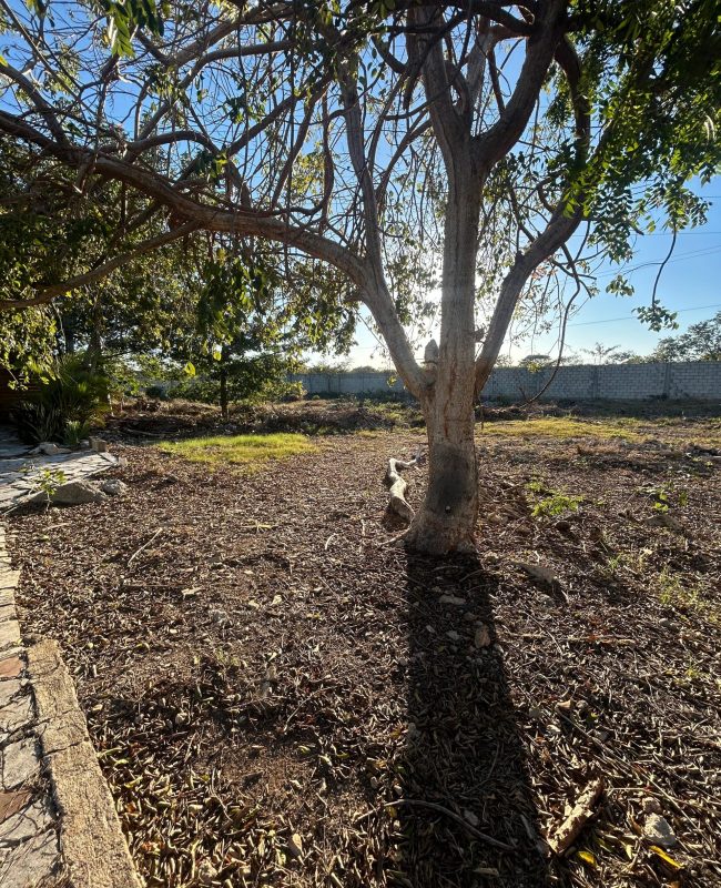 venta terreno en Villas Cholul Mérida 2