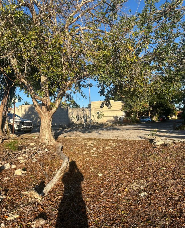 venta terreno en Villas Cholul Mérida 4